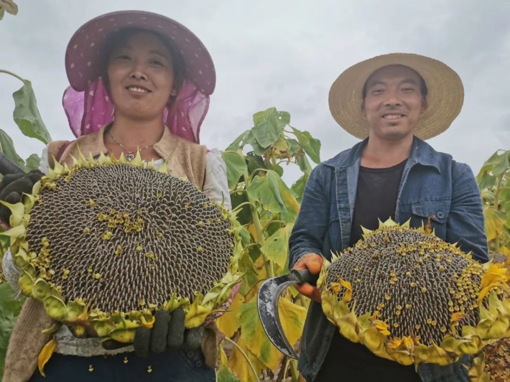 热点生活 第54页