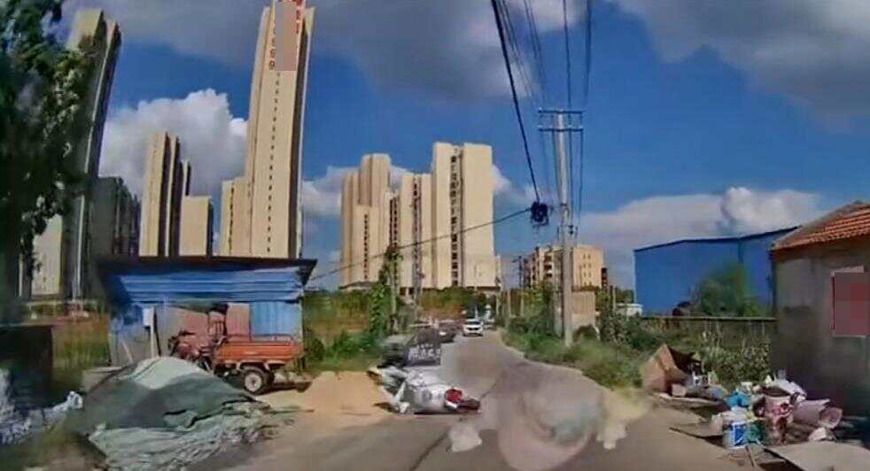 第515页