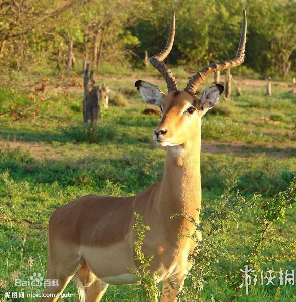 热点生活 第26页