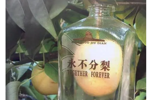 第973页